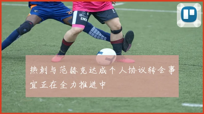 热刺与范赫克达成个人协议转会事宜正在全力推进中