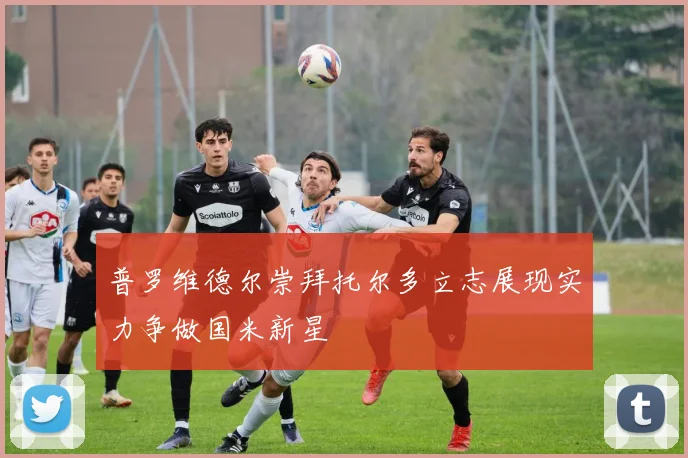 普罗维德尔崇拜托尔多立志展现实力争做国米新星