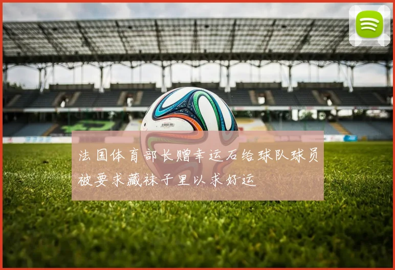 法国体育部长赠幸运石给球队球员被要求藏袜子里以求好运