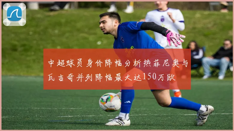 中超球员身价降幅分析热菲尼奥与瓦吉奇并列降幅最大达150万欧